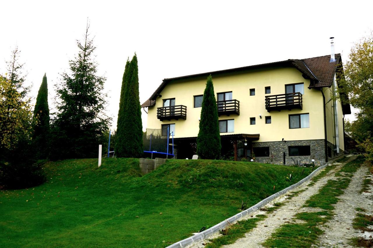 Vila Sohodol Travel Bran  Extérieur photo