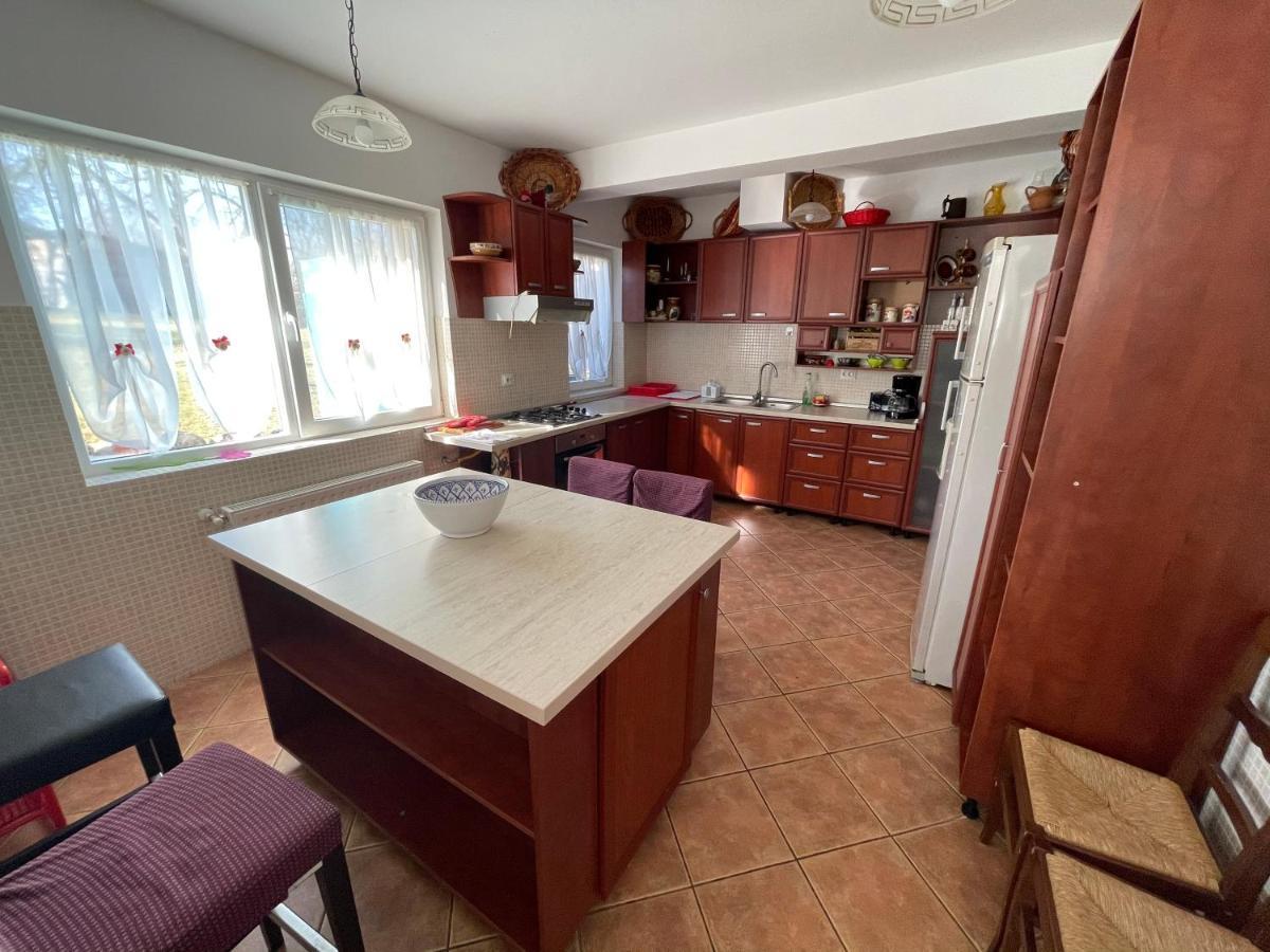 Vila Sohodol Travel Bran  Extérieur photo