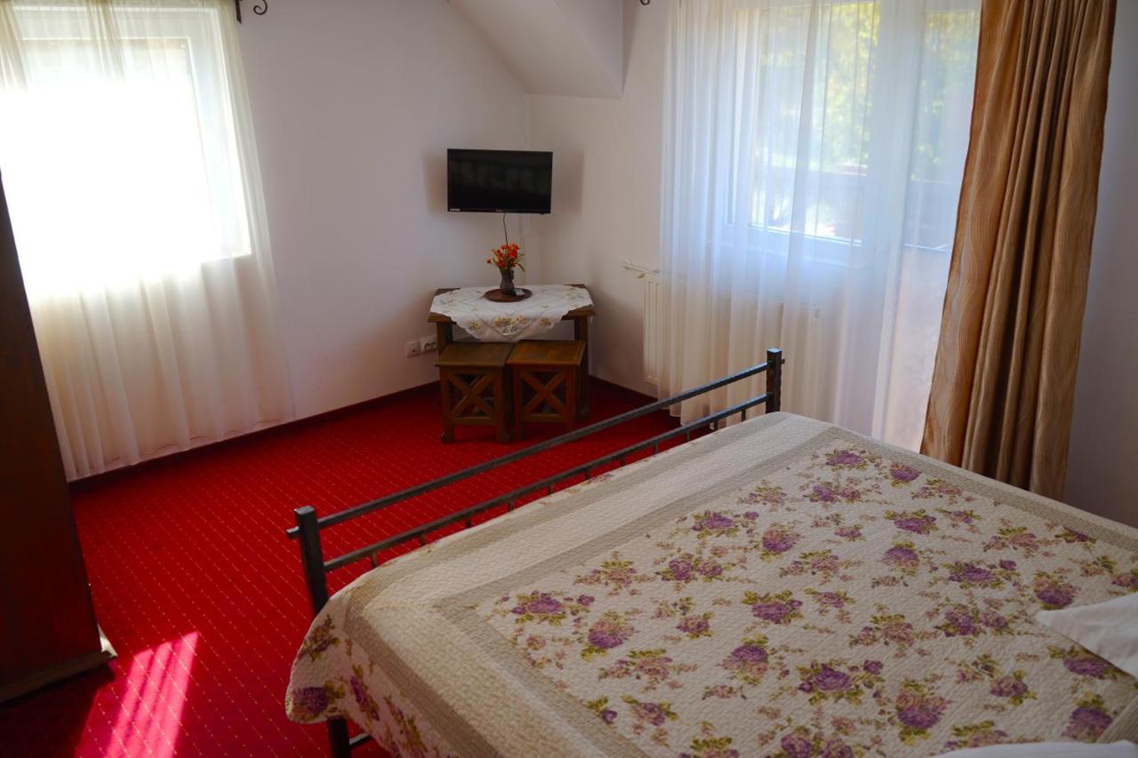 Vila Sohodol Travel Bran  Extérieur photo