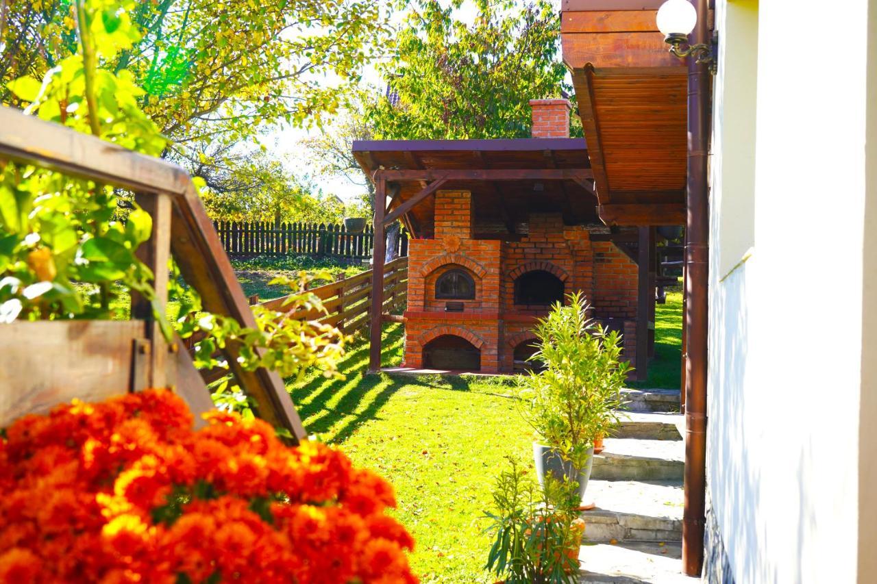 Vila Sohodol Travel Bran  Extérieur photo